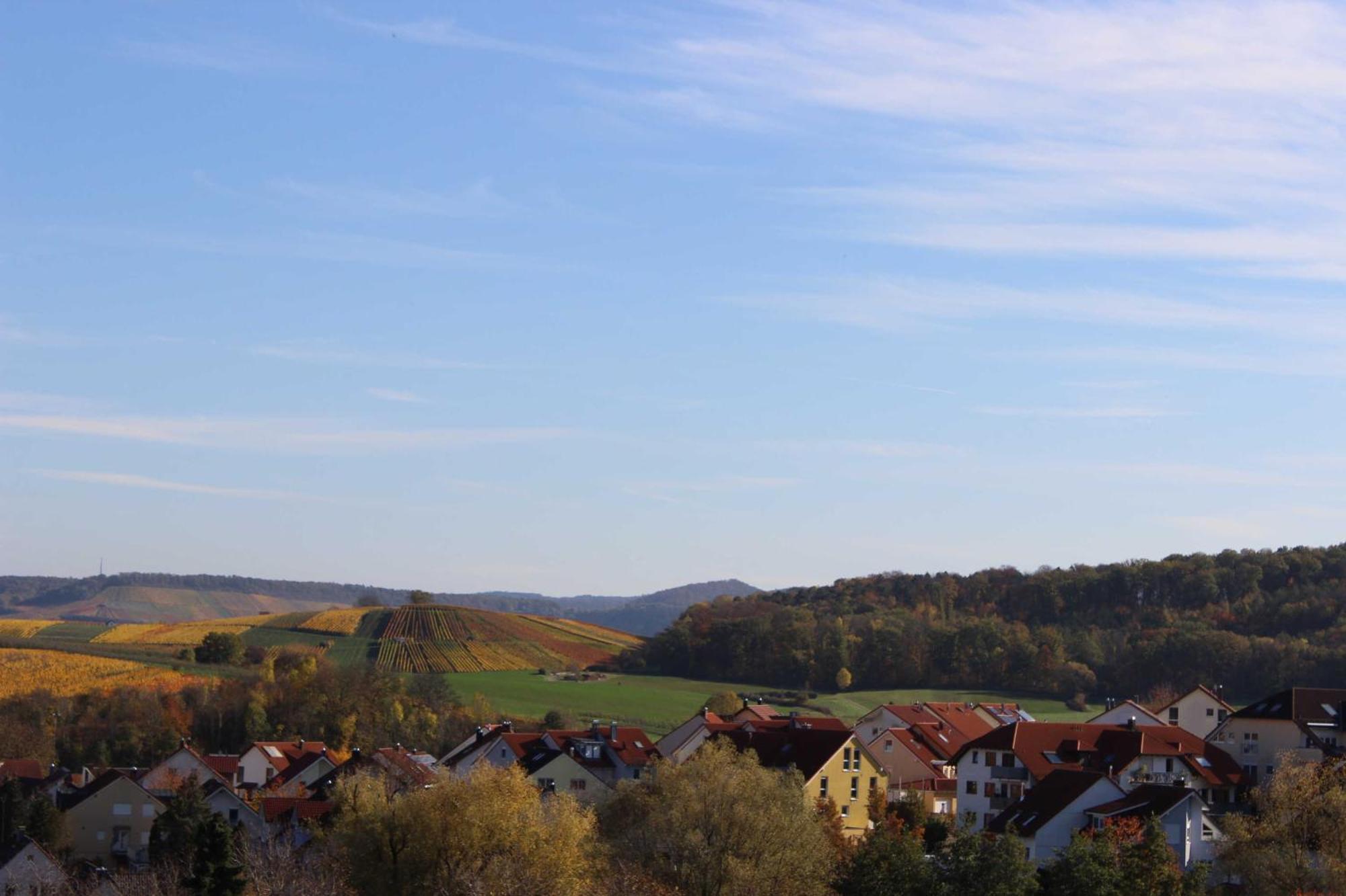 Gaestehaus Zum Wolffenturm Lehrensteinsfeld 客房 照片