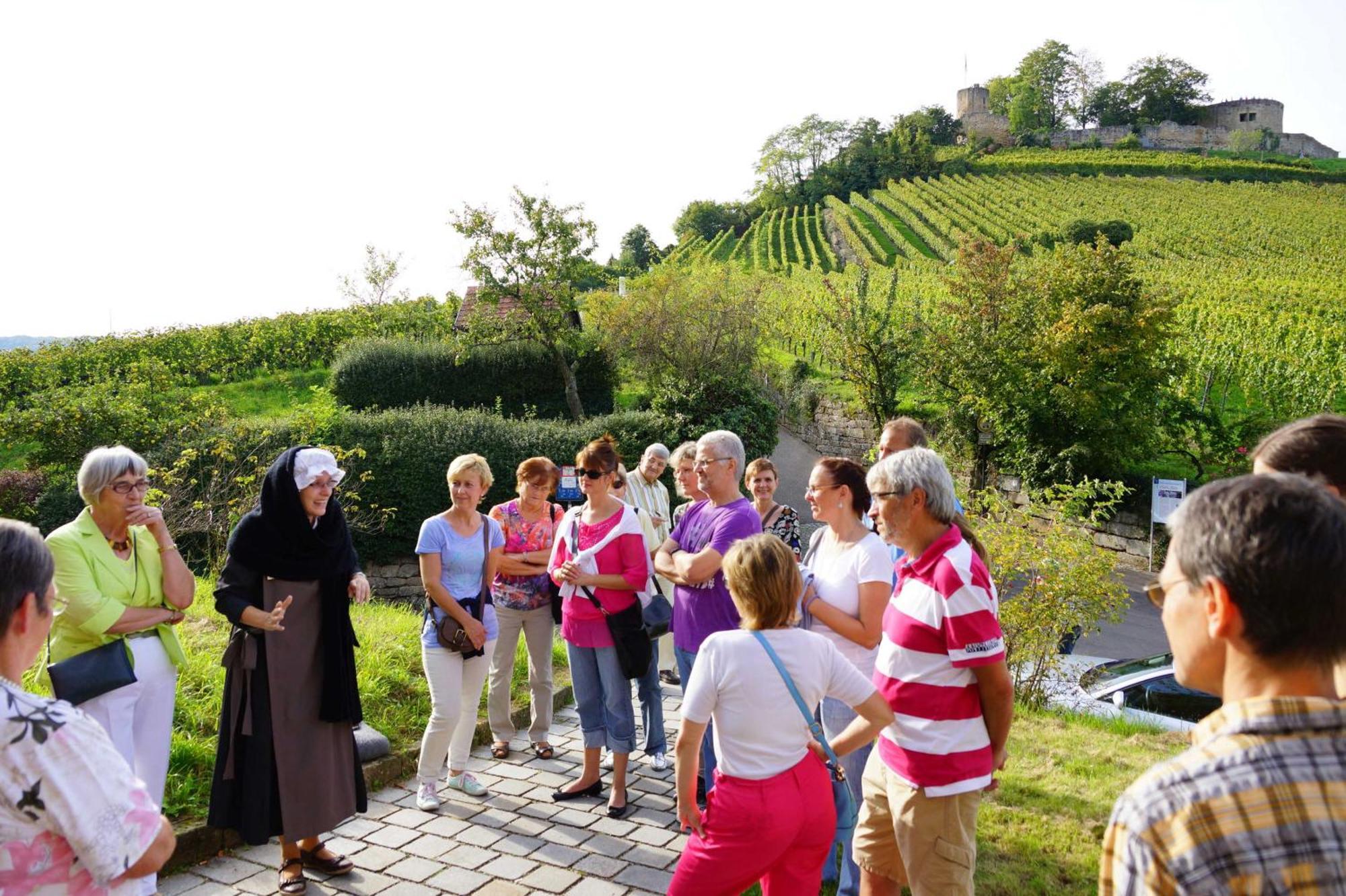 Gaestehaus Zum Wolffenturm Lehrensteinsfeld 外观 照片