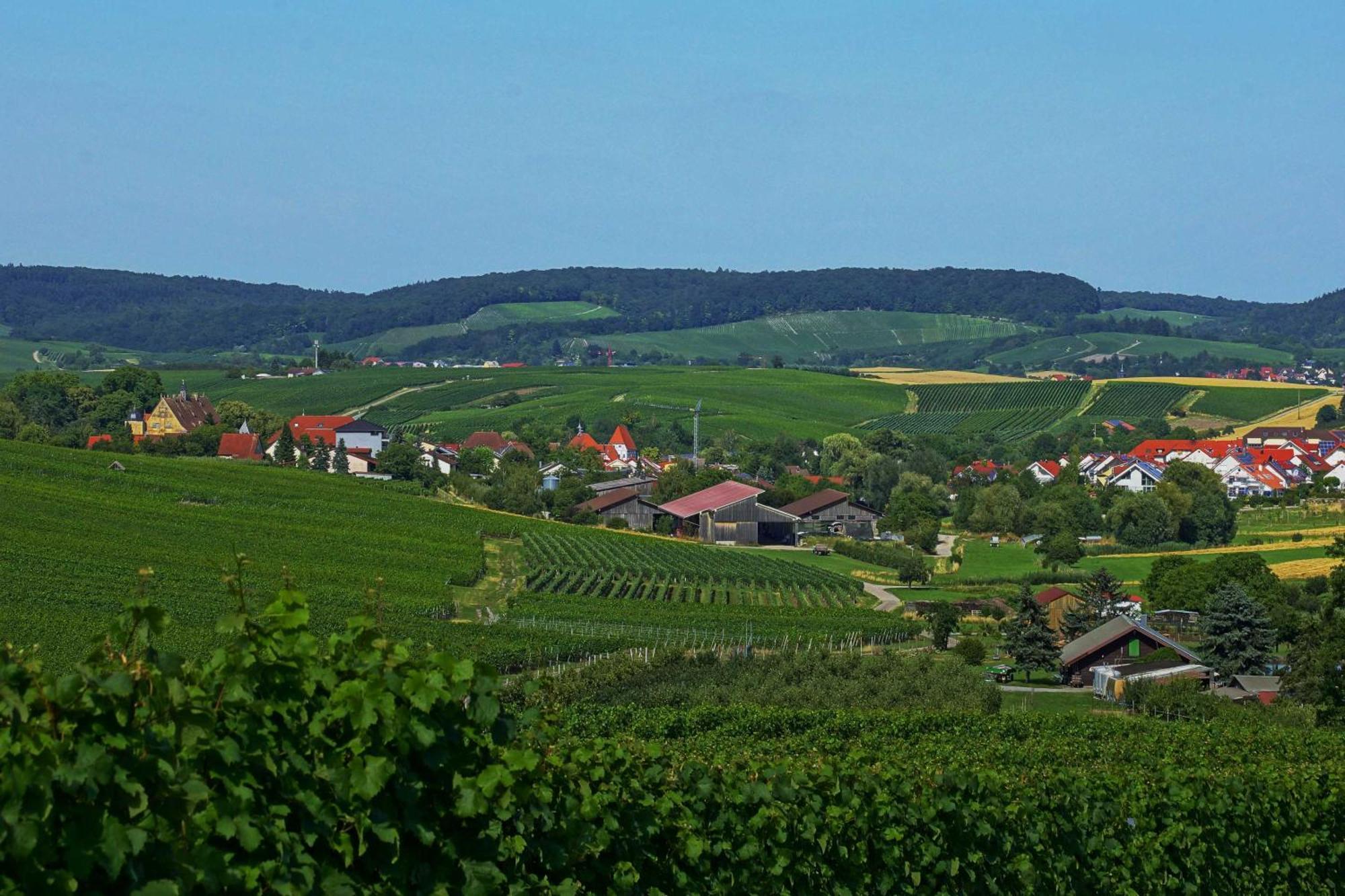 Gaestehaus Zum Wolffenturm Lehrensteinsfeld 外观 照片
